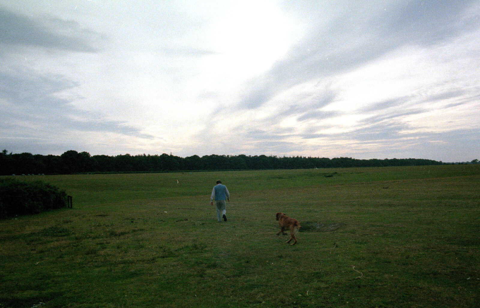 Hamish and Geordie on Wilverley Plain from A Vineyard Miscellany, Bransgore and the New Forest - 18th July 1986