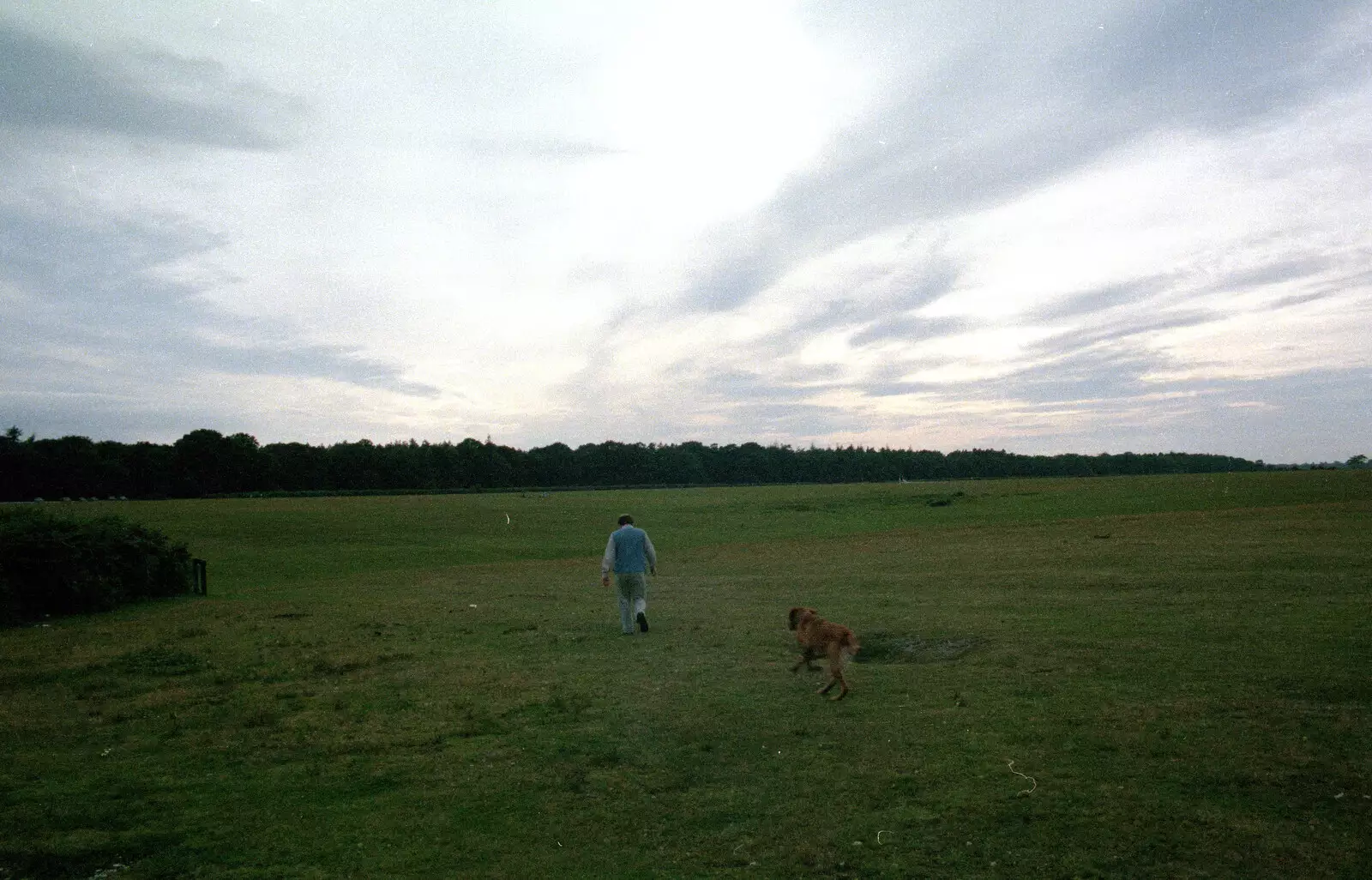 Hamish and Geordie on Wilverley Plain, from A Vineyard Miscellany, Bransgore and the New Forest - 18th July 1986