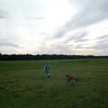 Hamish and Geordie on Wilverley Plain, A Vineyard Miscellany, Bransgore and the New Forest - 18th July 1986