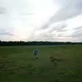 Hamish and Geordie on Wilverley Plain, A Vineyard Miscellany, Bransgore and the New Forest - 18th July 1986