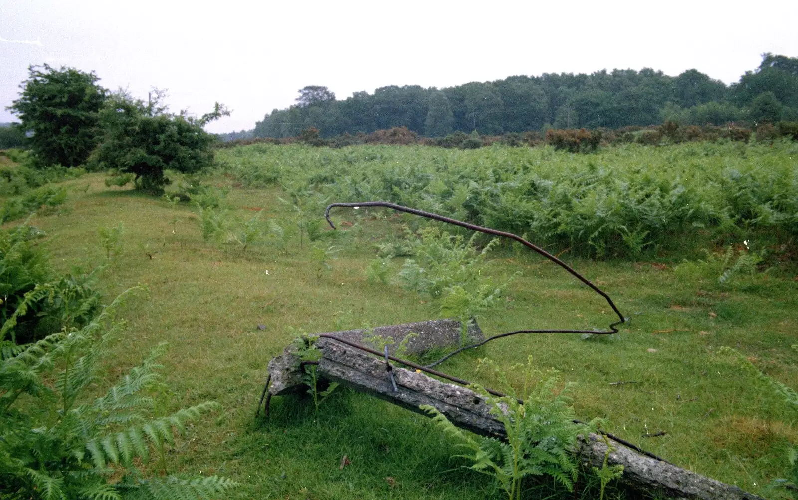 A bit of mangled fence in the New Forest, from A CB Wedding and a Derelict Railway, Hampshire - 20th July 1986