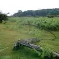 A bit of mangled fence in the New Forest, A CB Wedding and a Derelict Railway, Hampshire - 20th July 1986