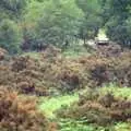 New Forest bracken, A CB Wedding and a Derelict Railway, Hampshire - 20th July 1986