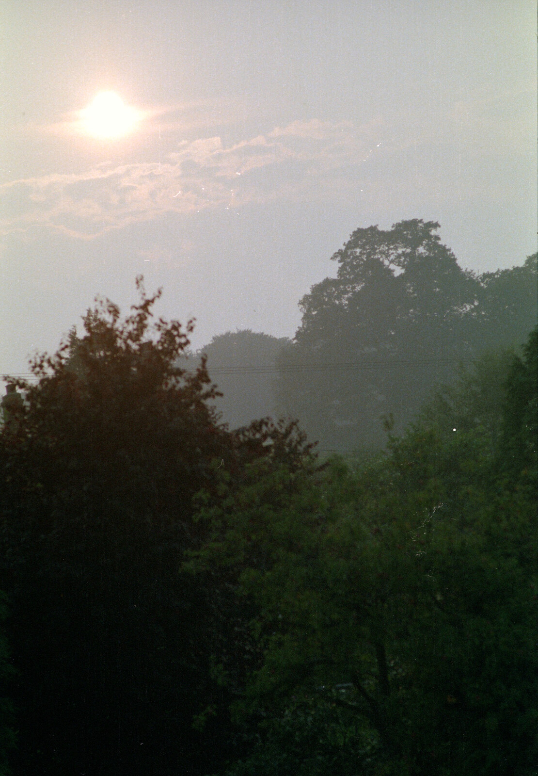 Misty trees somewhere from McCarthy and Stone and the Bournemouth Carnival, Dorset - 8th August 1986