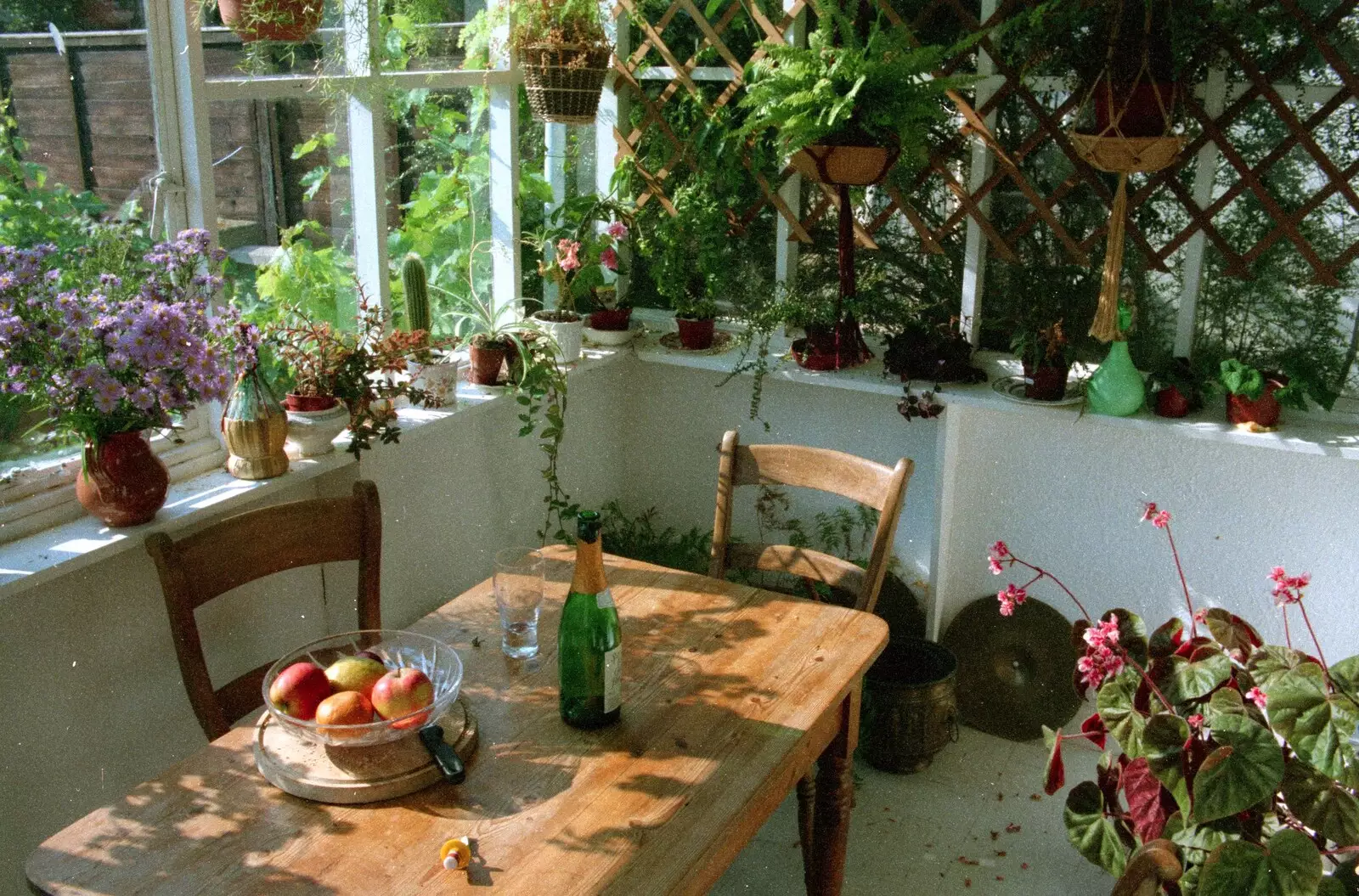 The little conservatory at Bracken Way, from Bracken Way, Walkford, Dorset - 15th September 1986