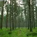 A stack of straight pine trees, Bracken Way, Walkford, Dorset - 15th September 1986