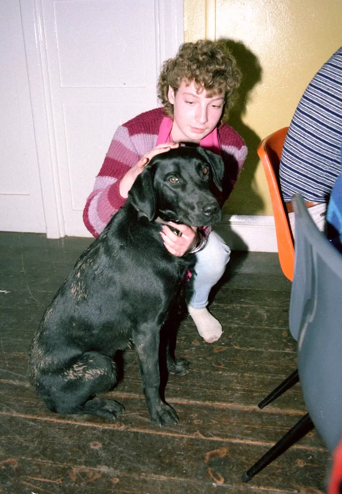 A dirty dog, from Grape Picking and the Trip Back to Poly, Bransgore and London - 20th September 1986