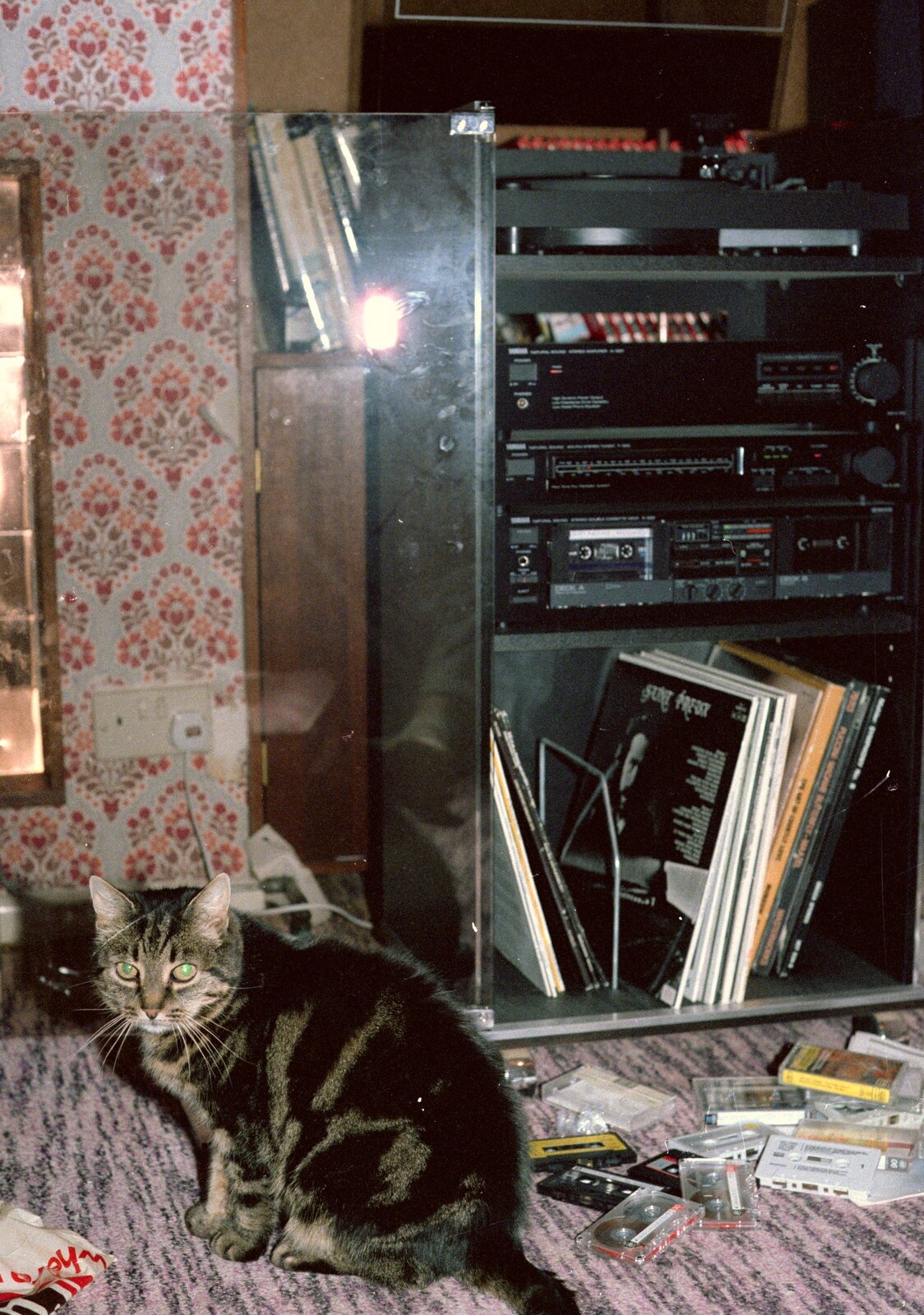 Florence sits by the stereo from Grape Picking and the Trip Back to Poly, Bransgore and London - 20th September 1986