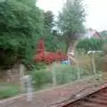 On the train somewhere, Grape Picking and the Trip Back to Poly, Bransgore and London - 20th September 1986