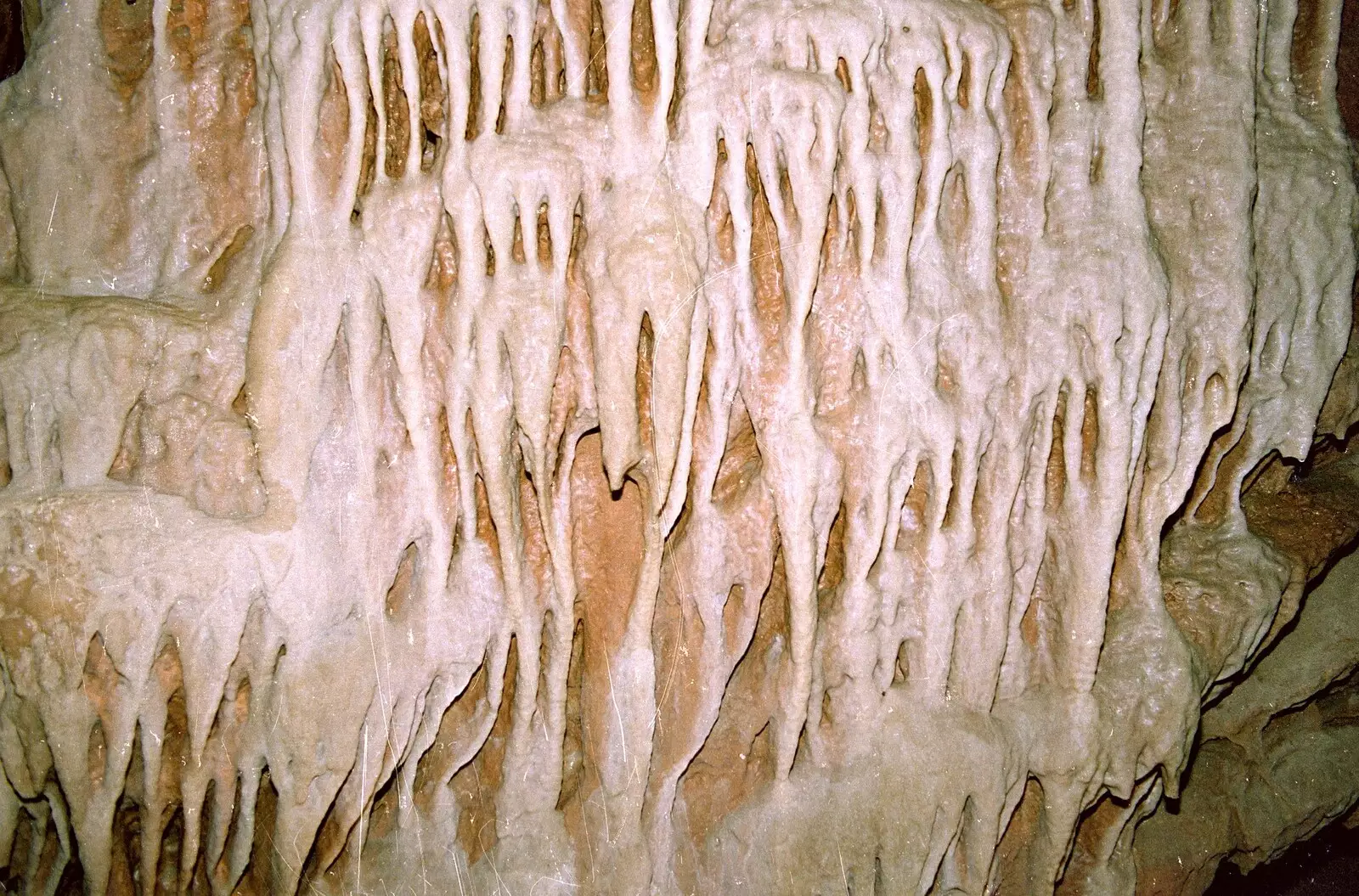 Some cool wall-clinging fingers of stone, from Uni: Back at Poly and a Trip to Cheddar Gorge, Somerset and Plymouth - 2nd October 1986