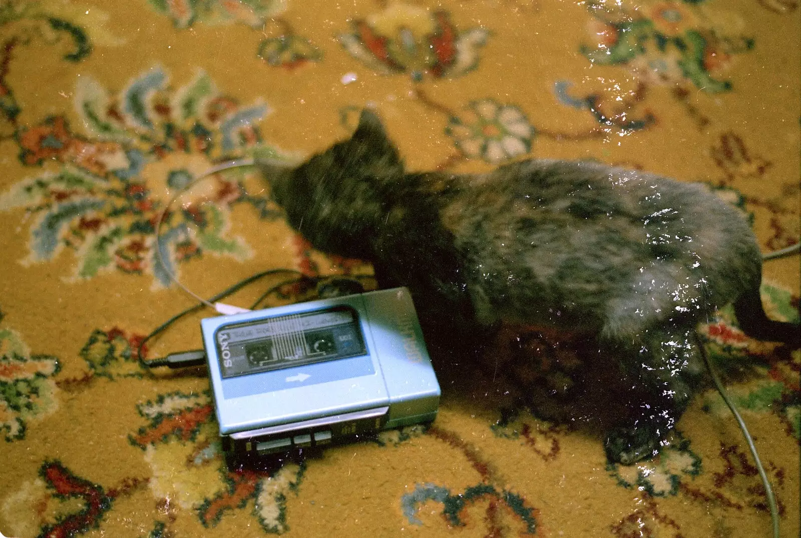 Christmas roams around near Nosher's Walkman, from A Bit of Bracken Way Pre-Christmas, Walkford, Dorset - 24th December 1986