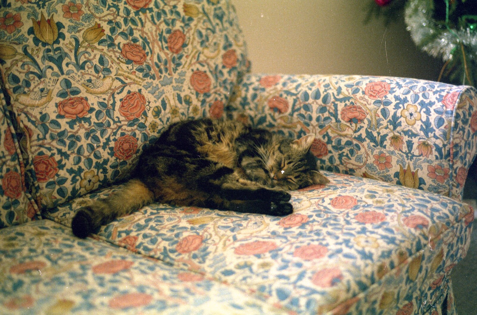 Florence on the sofa from Christmas with Neil and Caroline, Burton, Dorset - 25th December 1986