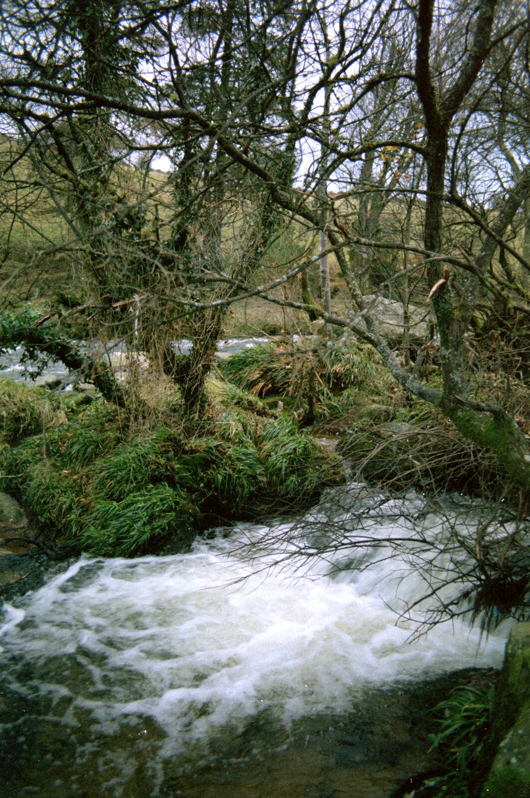 A Dartmoor stream from Uni: A Trip to Venford Resevoir, Dartmoor, Devon - 18th January 1987