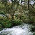 A Dartmoor stream, Uni: A Trip to Venford Resevoir, Dartmoor, Devon - 18th January 1987