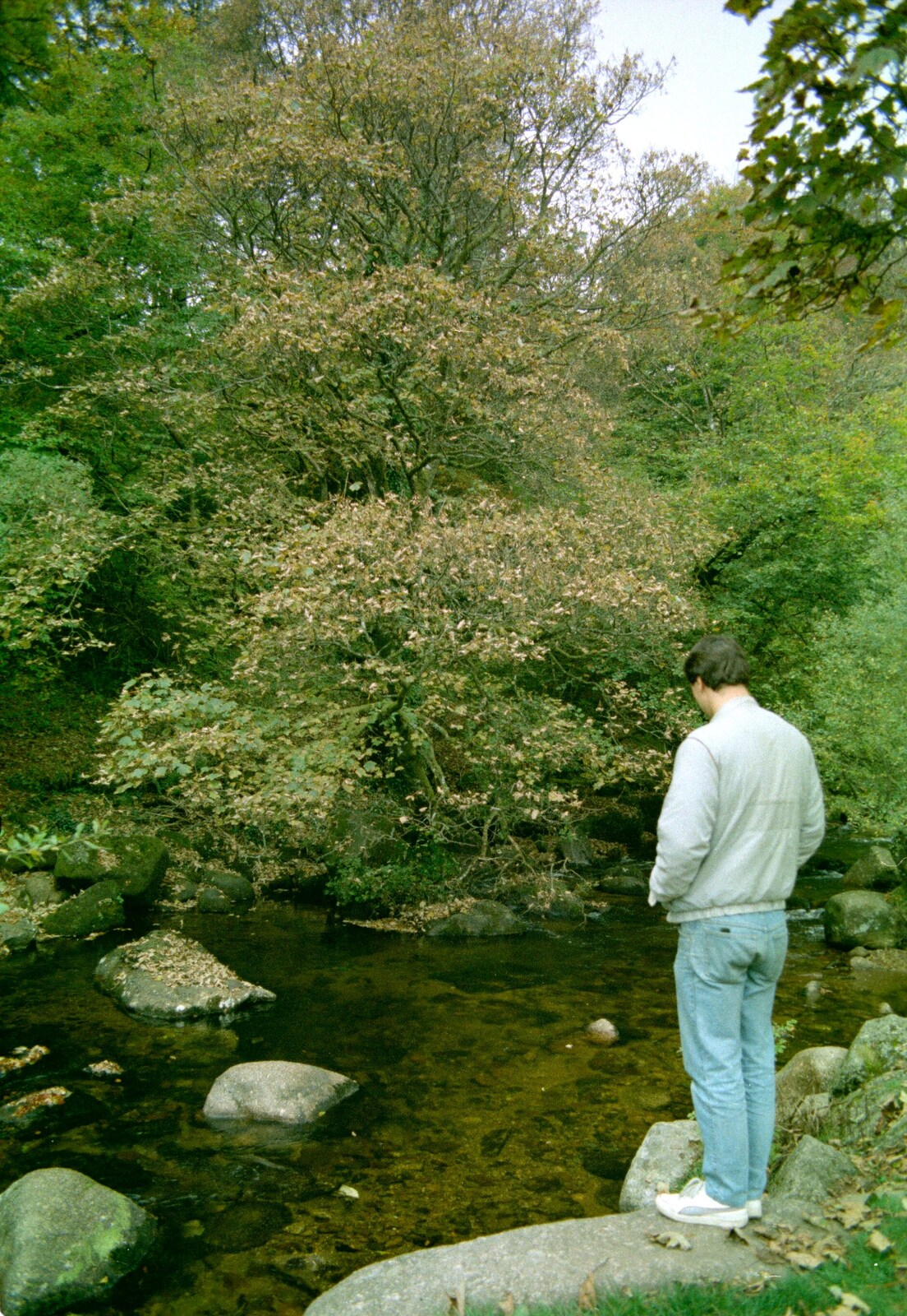 Riki looks into a river from A Trip to Trotsky's Mount, Dartmoor, Devon - 20th March 1987