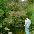 Riki looks into a river, A Trip to Trotsky's Mount, Dartmoor, Devon - 20th March 1987