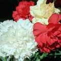 A bunch of carnations, Mother's 40th, Burton, Christchurch, Dorset - 18th April 1987
