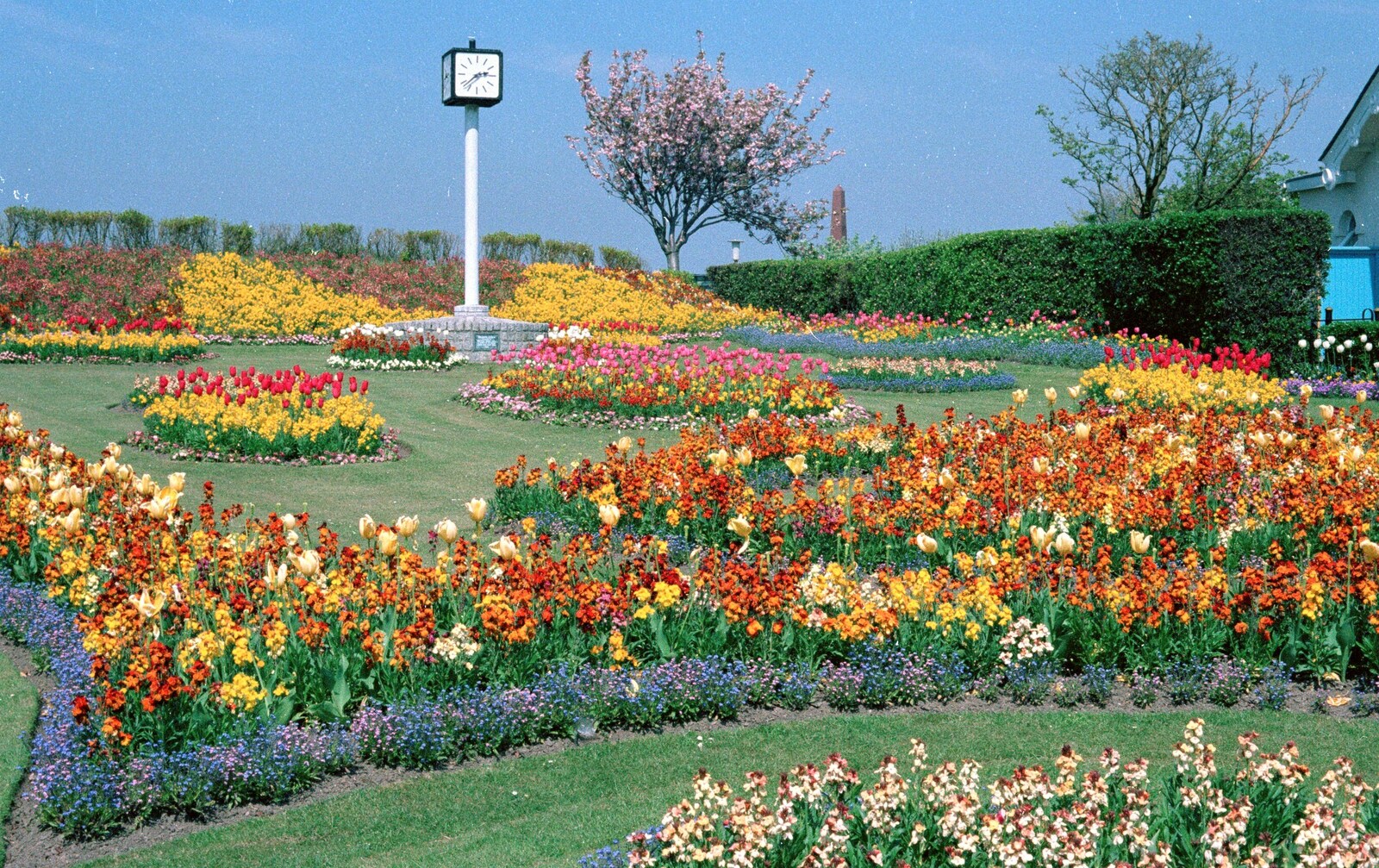 Impressive spring flowers and the clock on the Hoe from Uni: PPSU May Ball, The Guildhall, Plymouth - 4th May 1987