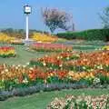 Impressive spring flowers and the clock on the Hoe, Uni: PPSU May Ball, The Guildhall, Plymouth - 4th May 1987