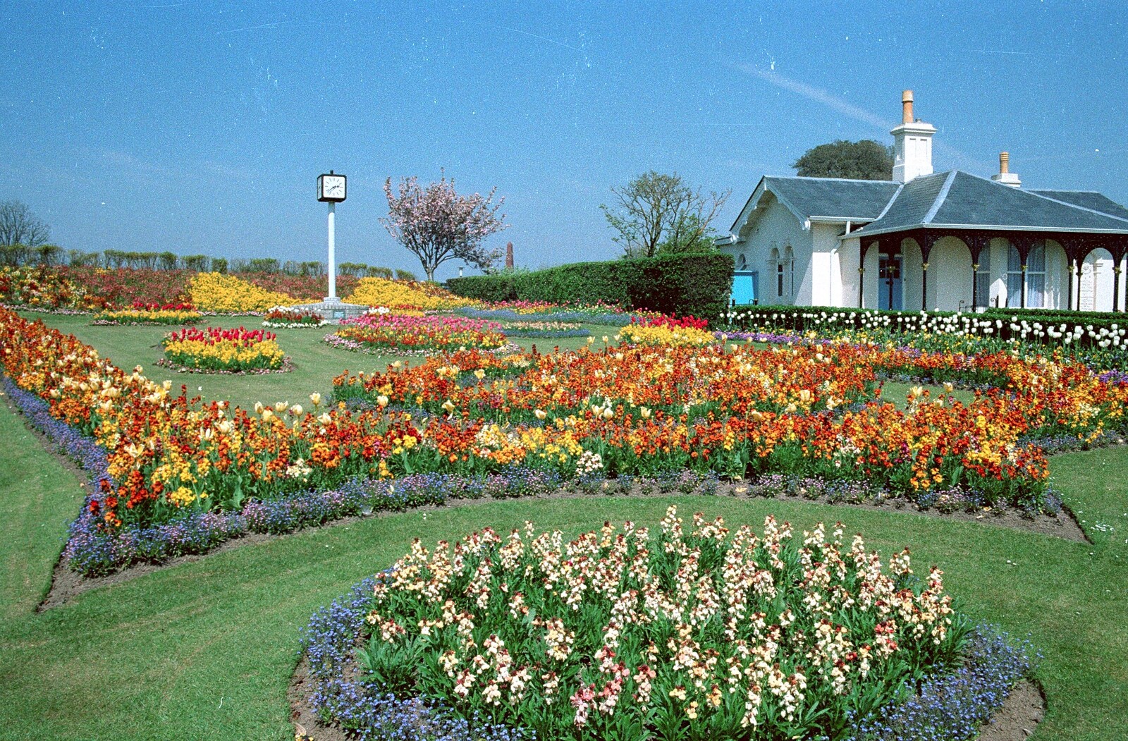 Impressive flower garden from Uni: PPSU May Ball, The Guildhall, Plymouth - 4th May 1987