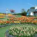 Impressive flower garden, Uni: PPSU May Ball, The Guildhall, Plymouth - 4th May 1987