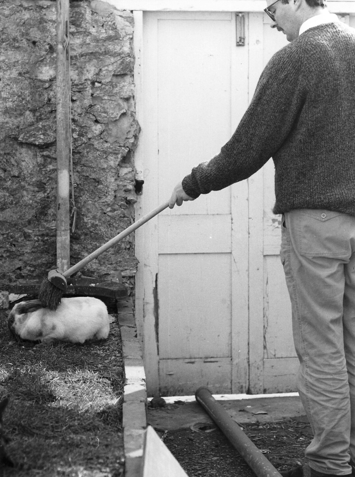Ed gives Friday the rabbit a brush from Uni: A Neath Road Summer, St. Jude's, Plymouth - 18th August 1987