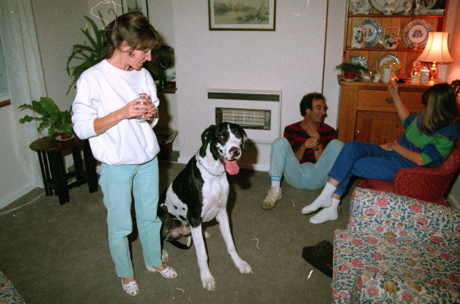 Suzie looks at Boley from A Trip to Bracken Way, Walkford, Dorset - 8th September 1987