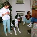 Suzie looks at Boley, A Trip to Bracken Way, Walkford, Dorset - 8th September 1987