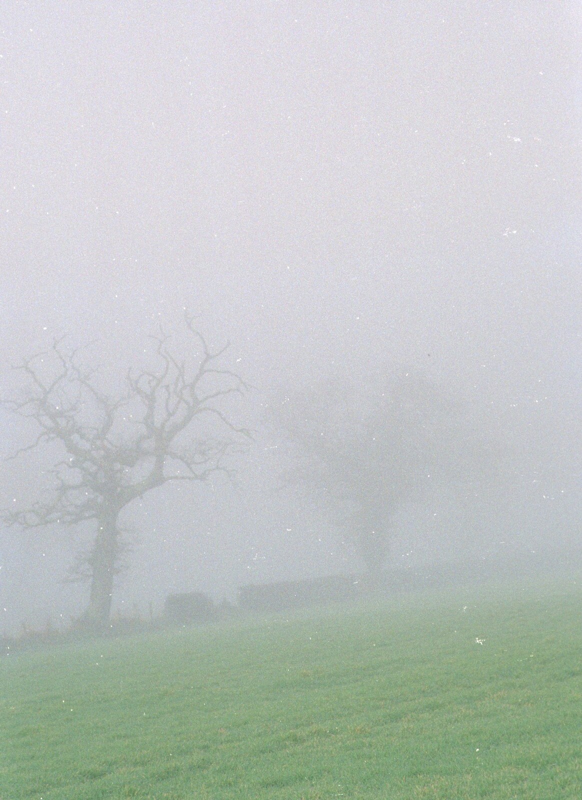 A Visit to Sheringham, North Norfolk - 20th November 1987: Misty trees somewhere