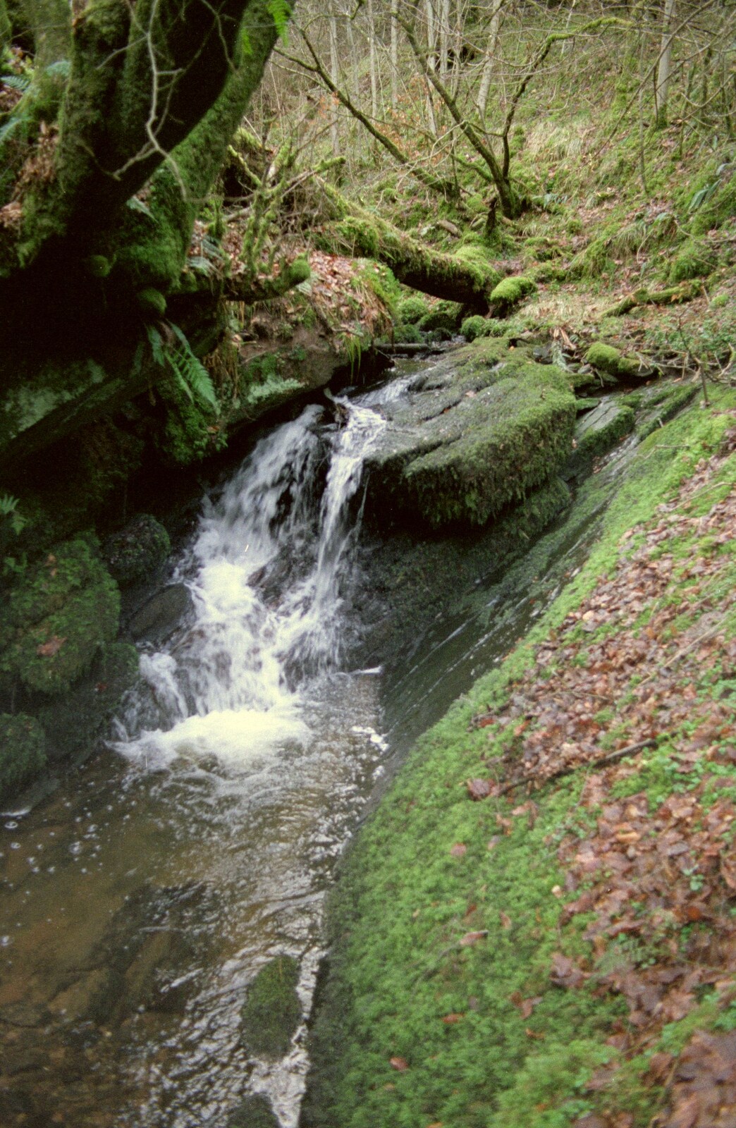 A babbling brook on the way to Gartocharn from Sandbach to Loch Lomond, Cheshire and Scotland - 10th December 1987