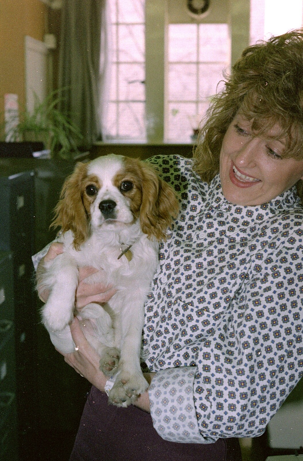 Sue and dog in the offices from Soman-Wherry Footie Action, Norfolk - 25th February 1988