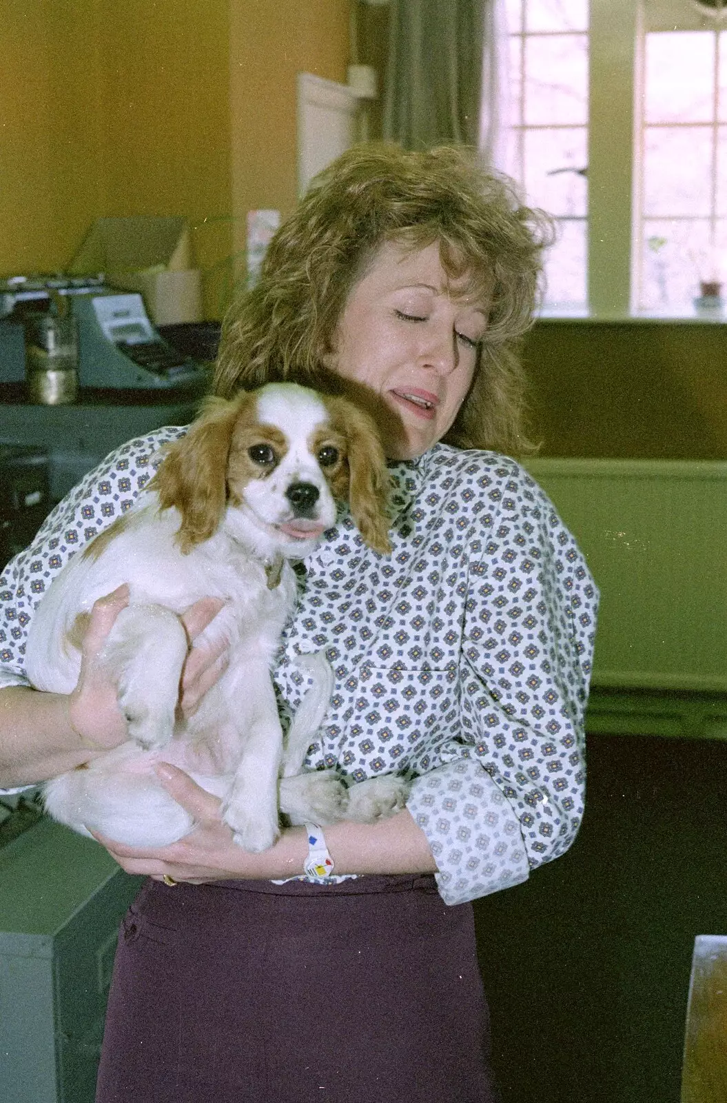 Sue's bought her dog in to the office, from Soman-Wherry Footie Action, Norfolk - 25th February 1988