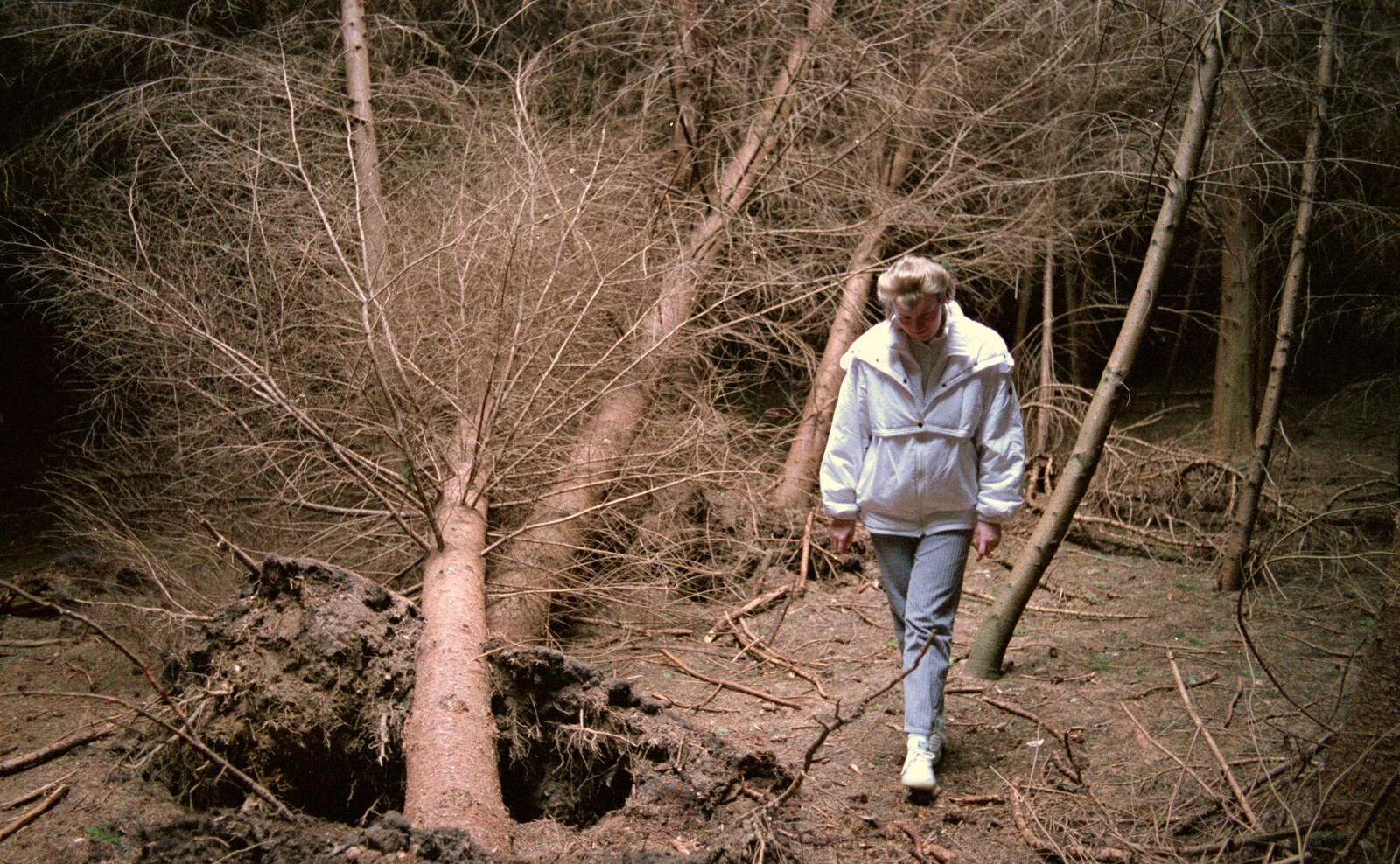 Maria walks through the New Forest from Bransgore Barbeque and Soman-Wherry Drinks, Dorset and Norwich - 2nd April 1988