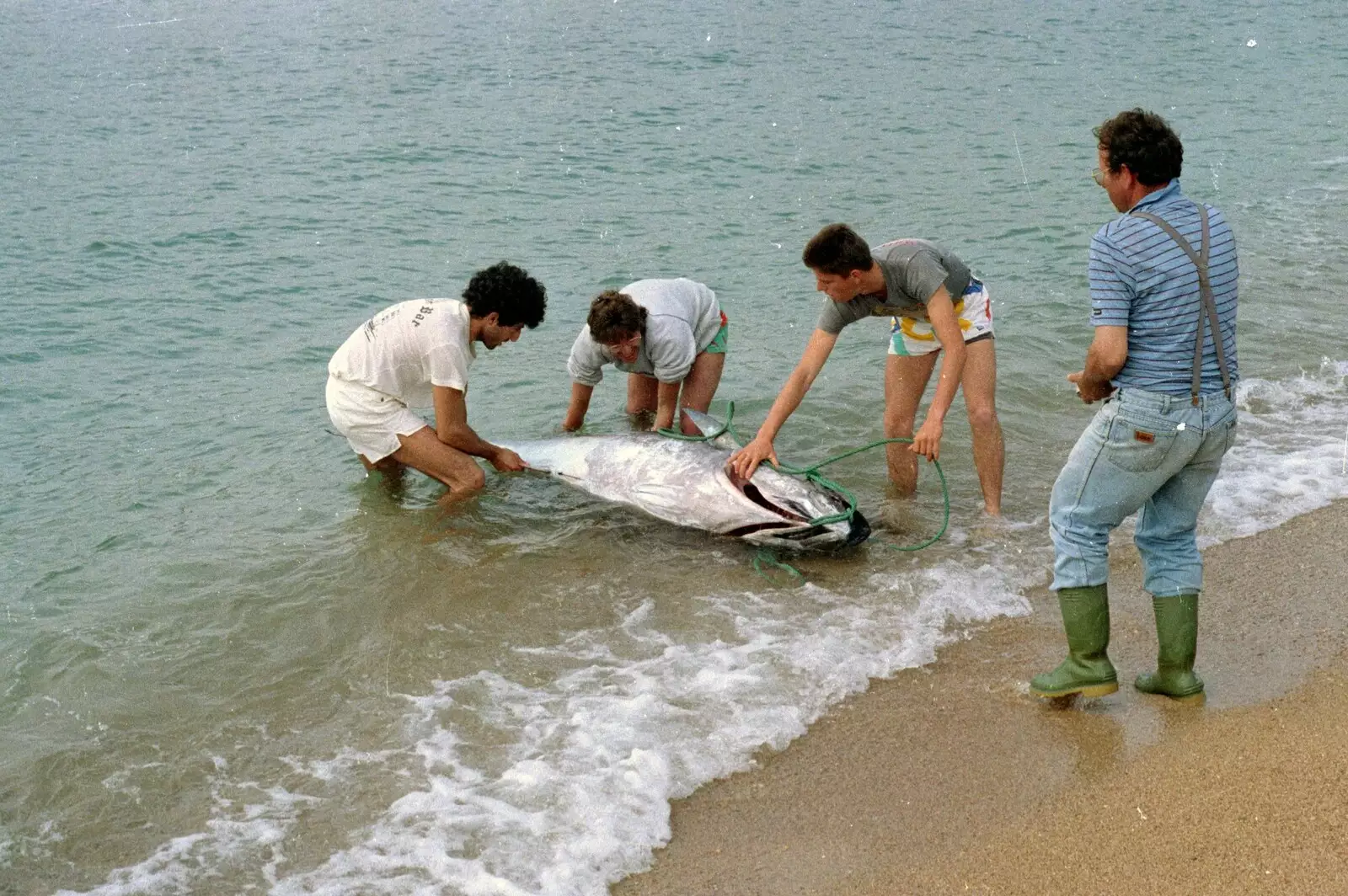 A tuna fish is landed, from A Soman-Wherry Press Boat Trip, Horning, The Broads, Norfolk - 8th May 1988