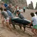 The giant fish is hauled up the beach, A Soman-Wherry Press Boat Trip, Horning, The Broads, Norfolk - 8th May 1988