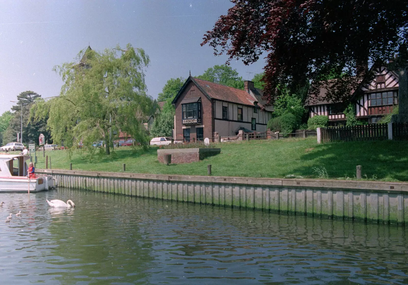 Riverbank life, from The Plymouth Gang Visits Nosher in the Sticks, Red House, Buxton, Norfolk - 20th May 1988