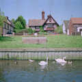 Swans float about on the Yare, The Plymouth Gang Visits Nosher in the Sticks, Red House, Buxton, Norfolk - 20th May 1988
