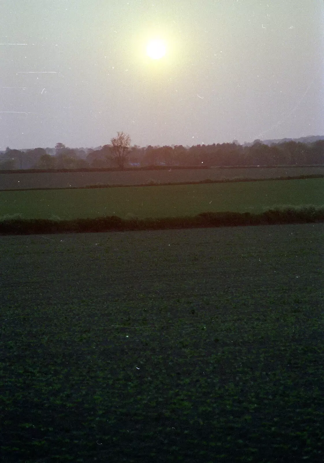 The fields near Sewell's Cottages, from The Plymouth Gang Visits Nosher in the Sticks, Red House, Buxton, Norfolk - 20th May 1988