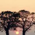 Sunset through trees, Somans: Nosher's 21st Birthday at the Soman-Wherry Press, Norwich, Norfolk - 26th May 1988