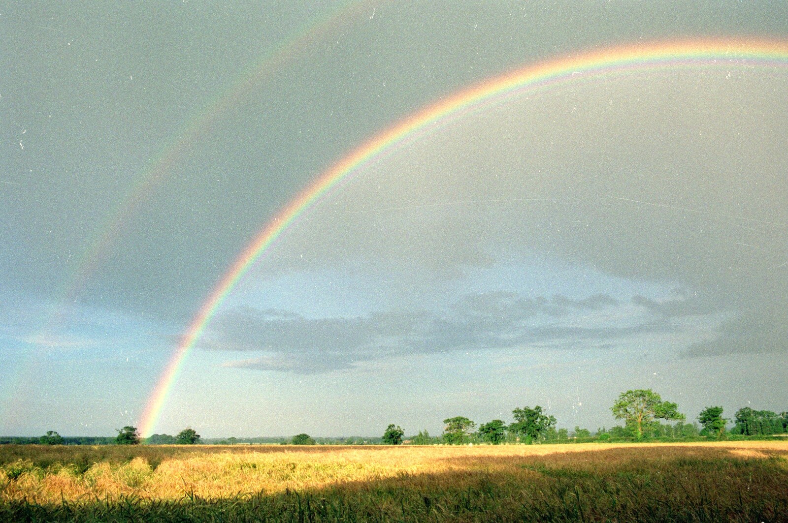 One half of the rainbow from Gus, the Sewell's Cottage Rabbit, Red House, Norfolk - 27th June 1988