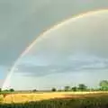 One half of the rainbow, Gus, the Sewell's Cottage Rabbit, Red House, Norfolk - 27th June 1988