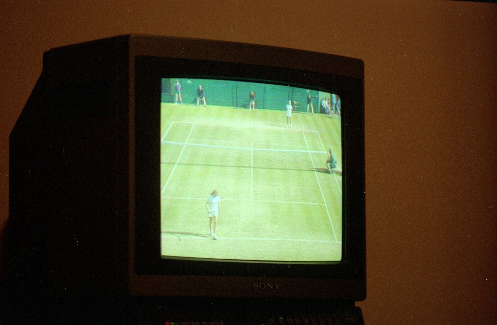 It's Wimbledon on tv from Gus, the Sewell's Cottage Rabbit, Red House, Norfolk - 27th June 1988