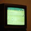 It's Wimbledon on tv, Gus, the Sewell's Cottage Rabbit, Red House, Norfolk - 27th June 1988