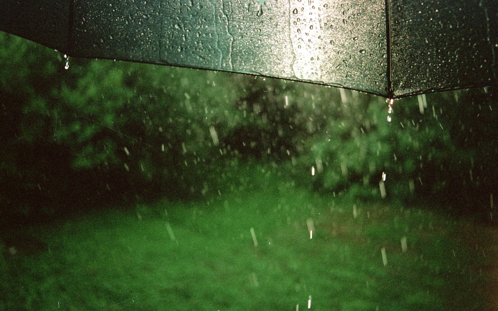 Rain on an umbrella from Gus, the Sewell's Cottage Rabbit, Red House, Norfolk - 27th June 1988