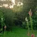 Rain piles down on the garden, Gus, the Sewell's Cottage Rabbit, Red House, Norfolk - 27th June 1988