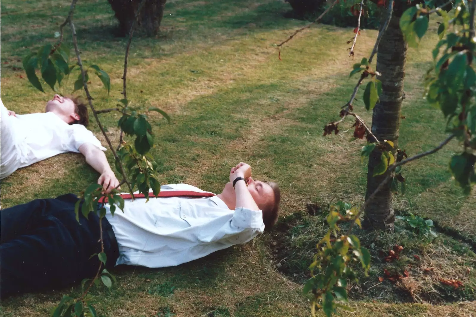 Sean and Nosher are mashed, from Mother and Mike's Wedding Reception, Bransgore, Dorset - 20th August 1988