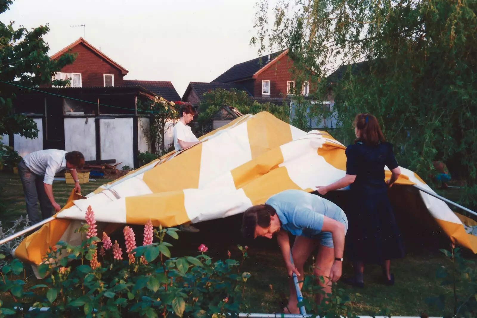 The marquee goes up, from Mother and Mike's Wedding Reception, Bransgore, Dorset - 20th August 1988