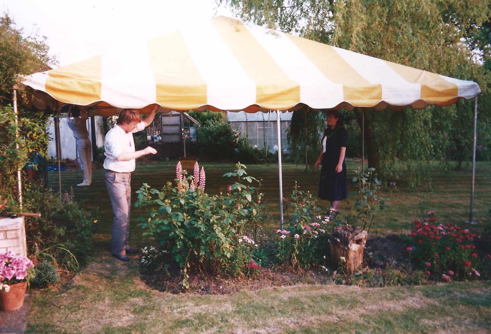 The marquee roof is up from Mother and Mike's Wedding Reception, Bransgore, Dorset - 20th August 1988