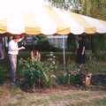 The marquee roof is up, Mother and Mike's Wedding Reception, Bransgore, Dorset - 20th August 1988