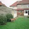 Geordie roams around in the back garden, Leaving Sewell's Cottages: from Red House to New Milton and Farnborough - 22nd September 1988